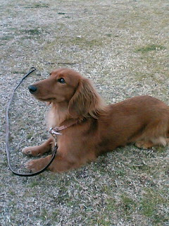 image/aarii-2006-02-27T01:28:29-1.JPG
